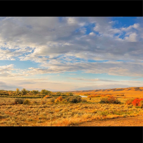 Meet your Posher, Sandy - Picture 1 of 1